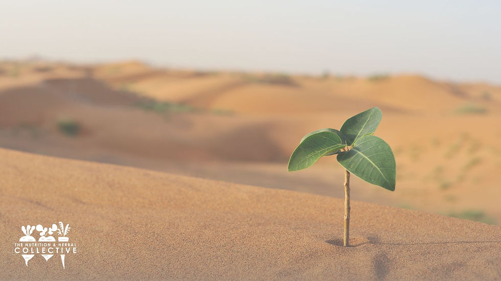 From Stuck to Breakthrough: Supporting Patients with Trauma with Keren Dolan