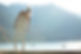 IMG_0031 (002).jpeg