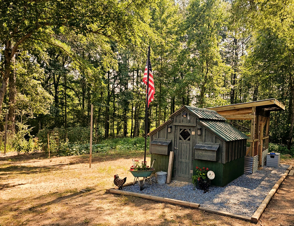 original-A2CB4BA3-4F4A-4D08-B772-8913E1A61BD8_edited