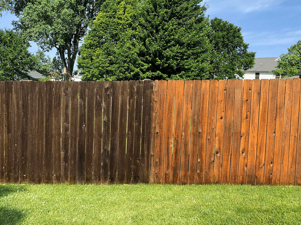 fence cleaning before after.jpg