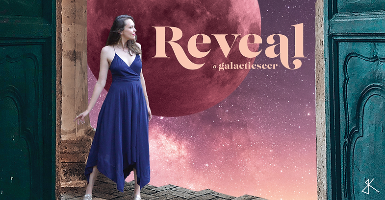 RevealVisuals_v2Website-Header.png