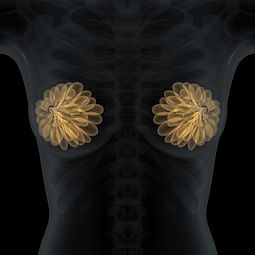 3D silicone breast