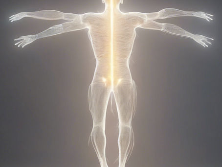 The Central Channel within the body