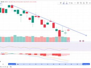 Is the Market Turning Bearish? A Structured Approach to Short Positions