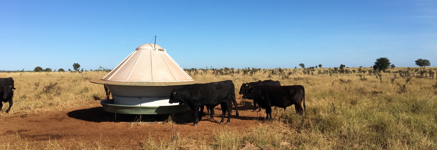 Round Poly Cattle Feeders Buy A No Rust Cattle Feeder