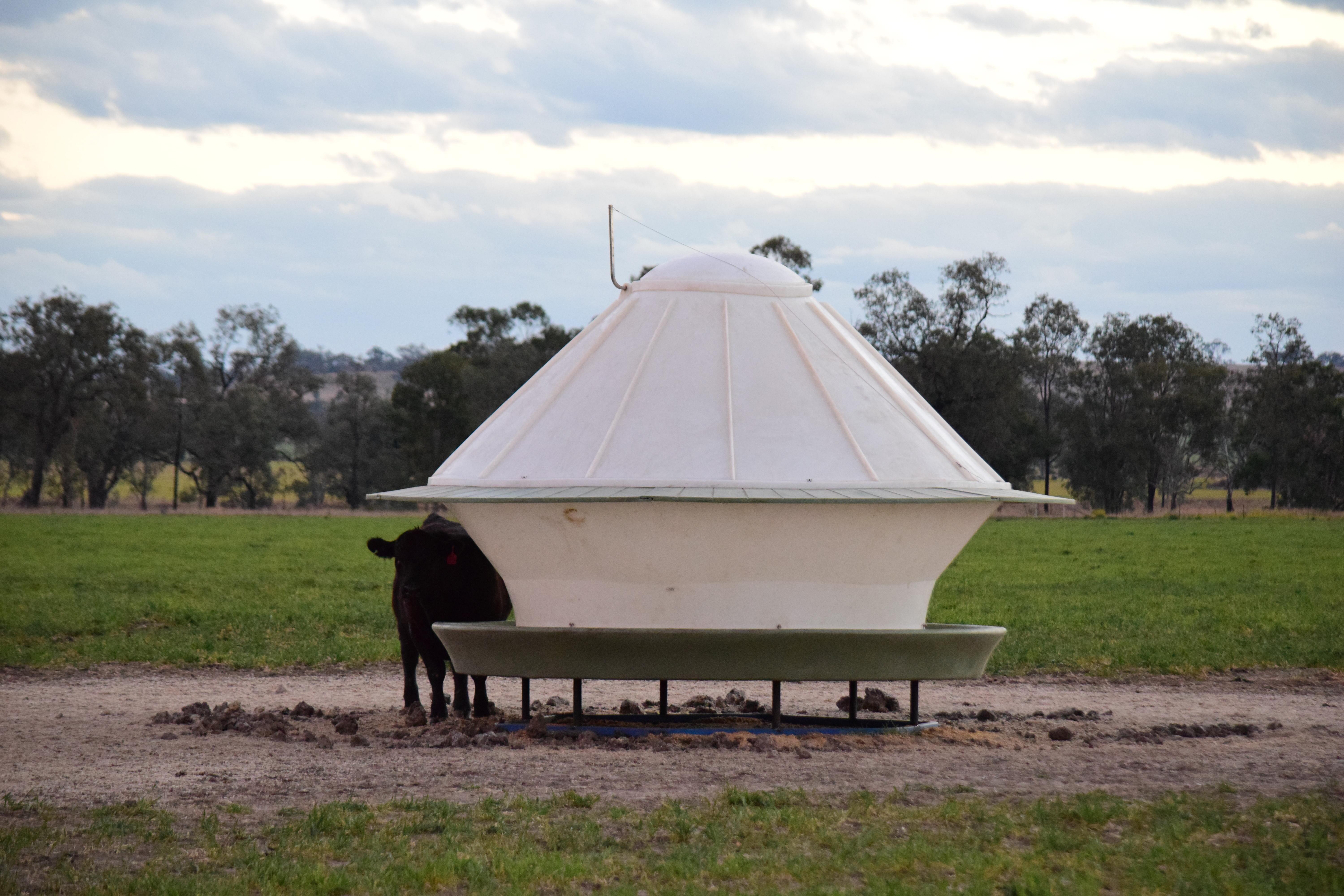 Cattle Feeder Poly Cattle Feeders Roswell Ag RCF 9500