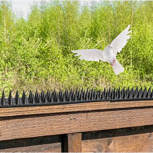 12pcs-plastic-bird-spikes-squirrel-raccoon-pigeon-cat-fox-animal-deterrent-fence-anti-bird