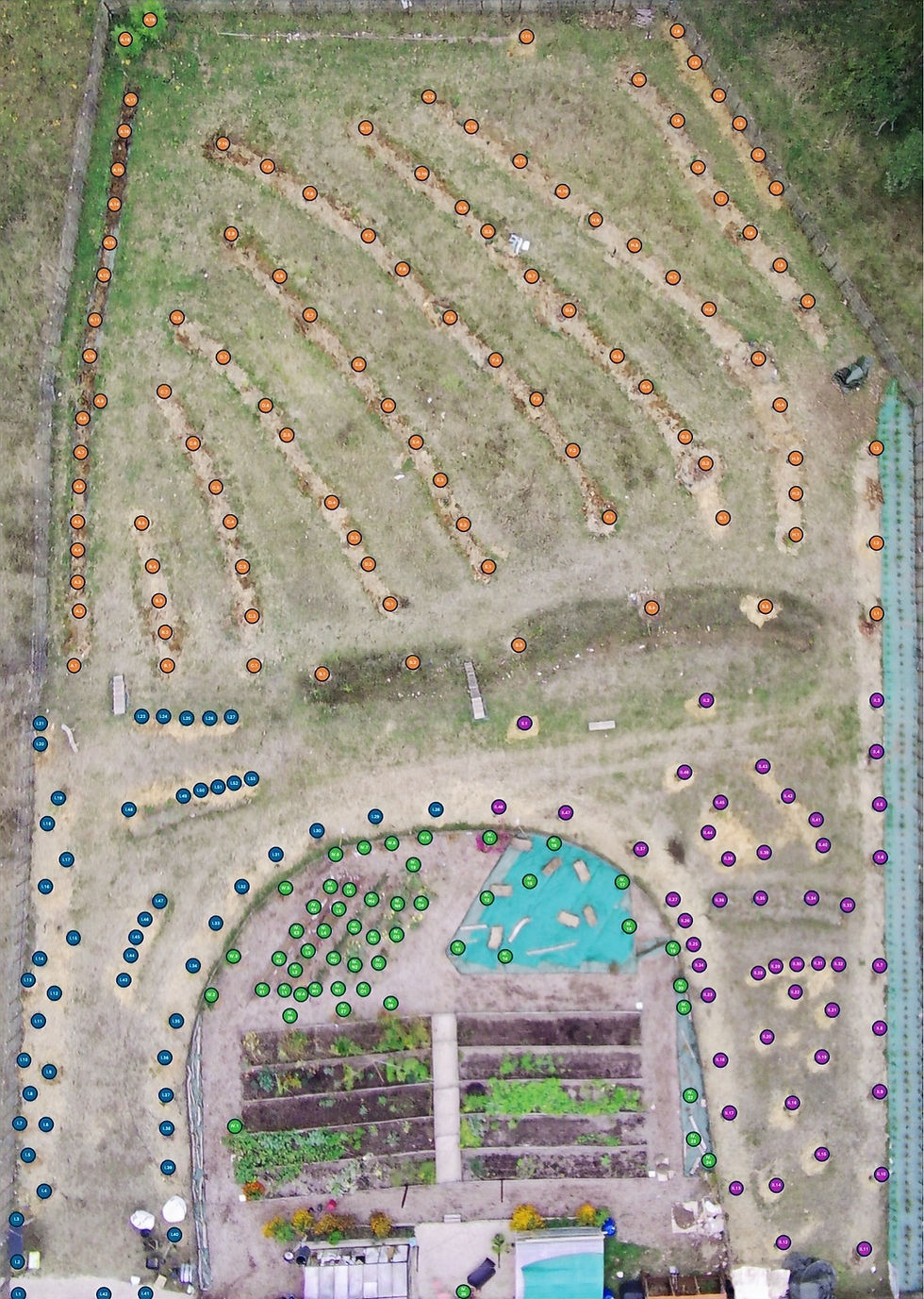 Voedselbos beplanting 11-23_edited.jpg