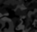 Camo Black.jpg
