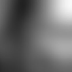 ANONYMOUS - LAST APRIL