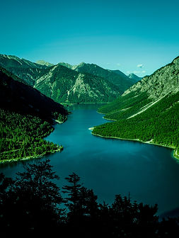 P6120113-3.jpg