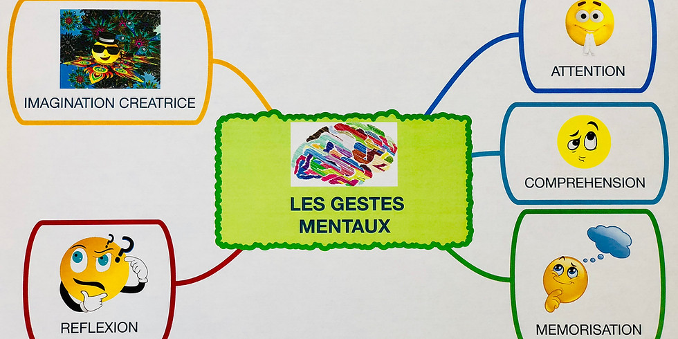 Formation Initiale à la Pédagogie de la Gestion Mentale