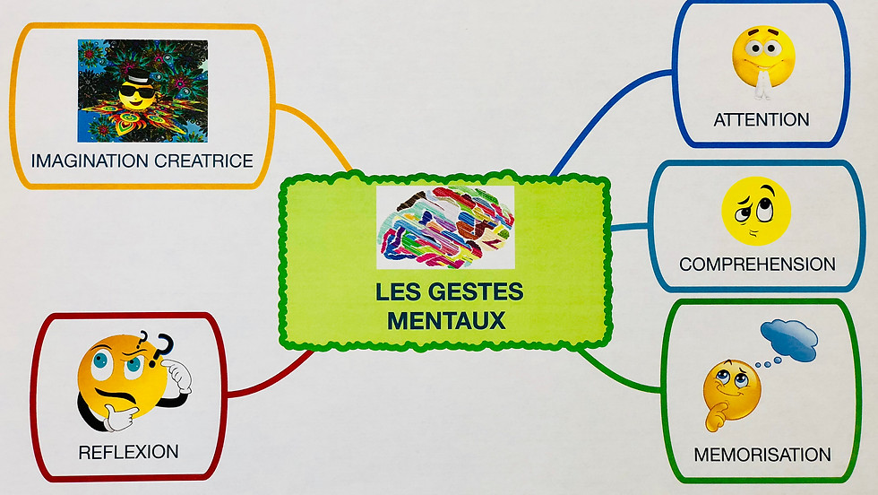 Formation initiale à la pédagogie de la Gestion Mentale