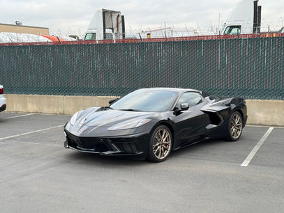 Black paint protection 