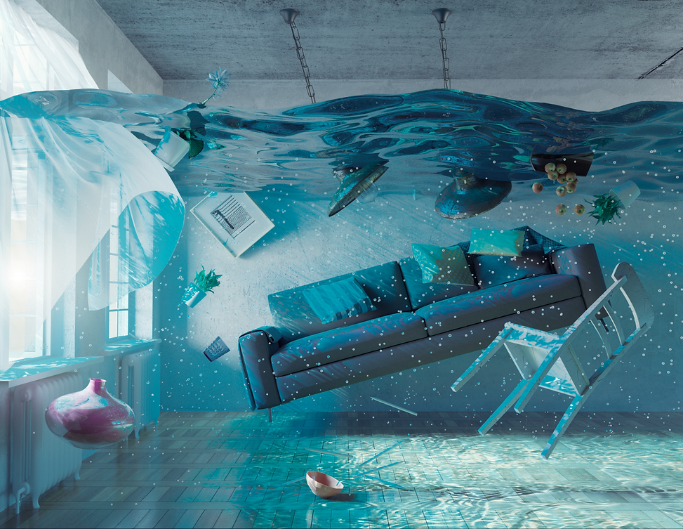 1 Carpet Cleaning of Rockwall Texas Carpet Cleaners in Rockwall TX