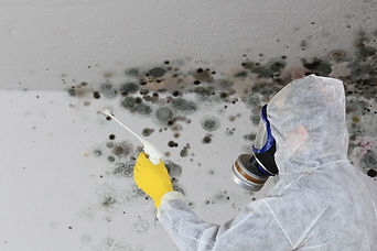 HVAC Mold Removal