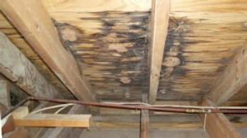 This-is-Rotting-plywood-from-leaky-roof-