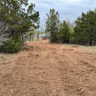 Mulching 1.jpeg