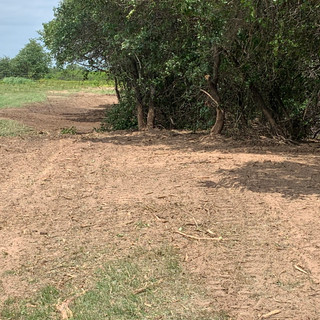Mulching 4.jpeg