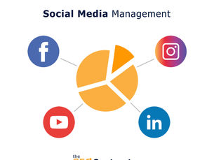 What does a social media company do?