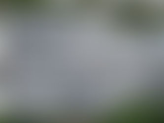 Understanding Parking Lot Lines and the Importance of Professional Line Striping