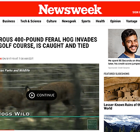 Screen Shot 2019-09-19 at 8.54.17 PM.png