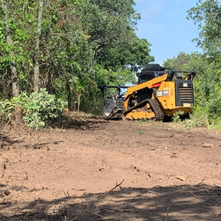 Mulching 2.jpeg