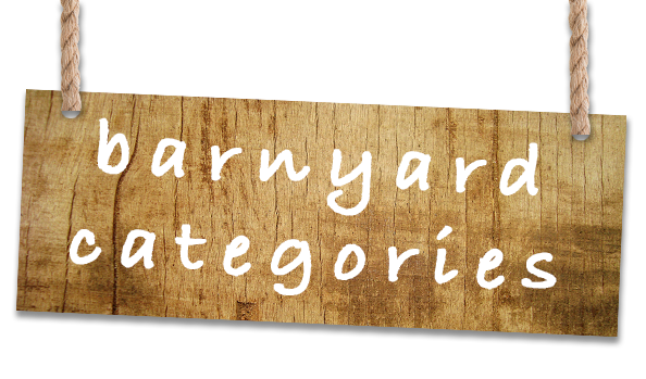 BARNYARD DOLLAR STORE CATEGORIES