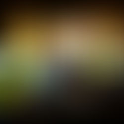 Are your fleet vehicles wrapped?