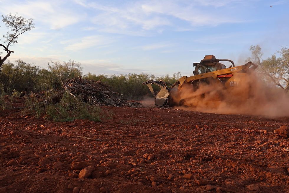 what is land clearing