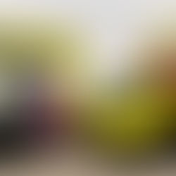 Vehicle Wraps: Frequently Asked Questions