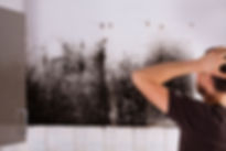 Home Mold Removal Company