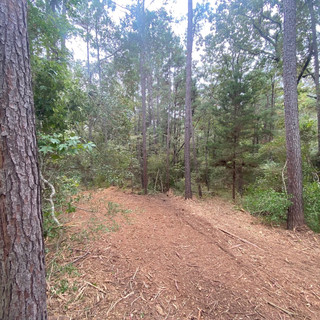 IMG_3358.jpeg