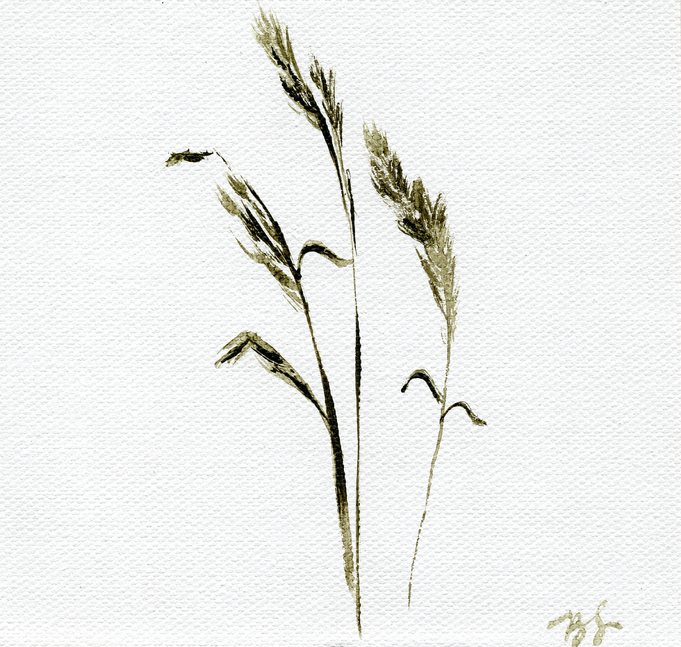 Grasses & Flowers