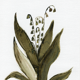 dark green lily of the valley on white background