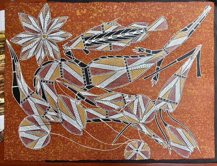 Manuel - Crocodile & Waterlilies.jpeg