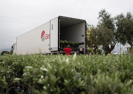 Camion sfuso.jpg