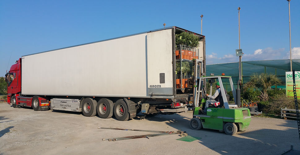 Logistica (13).jpg