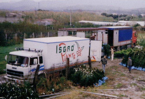 om110.jpg