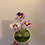 Thumbnail: Crochet pansy plant pot 