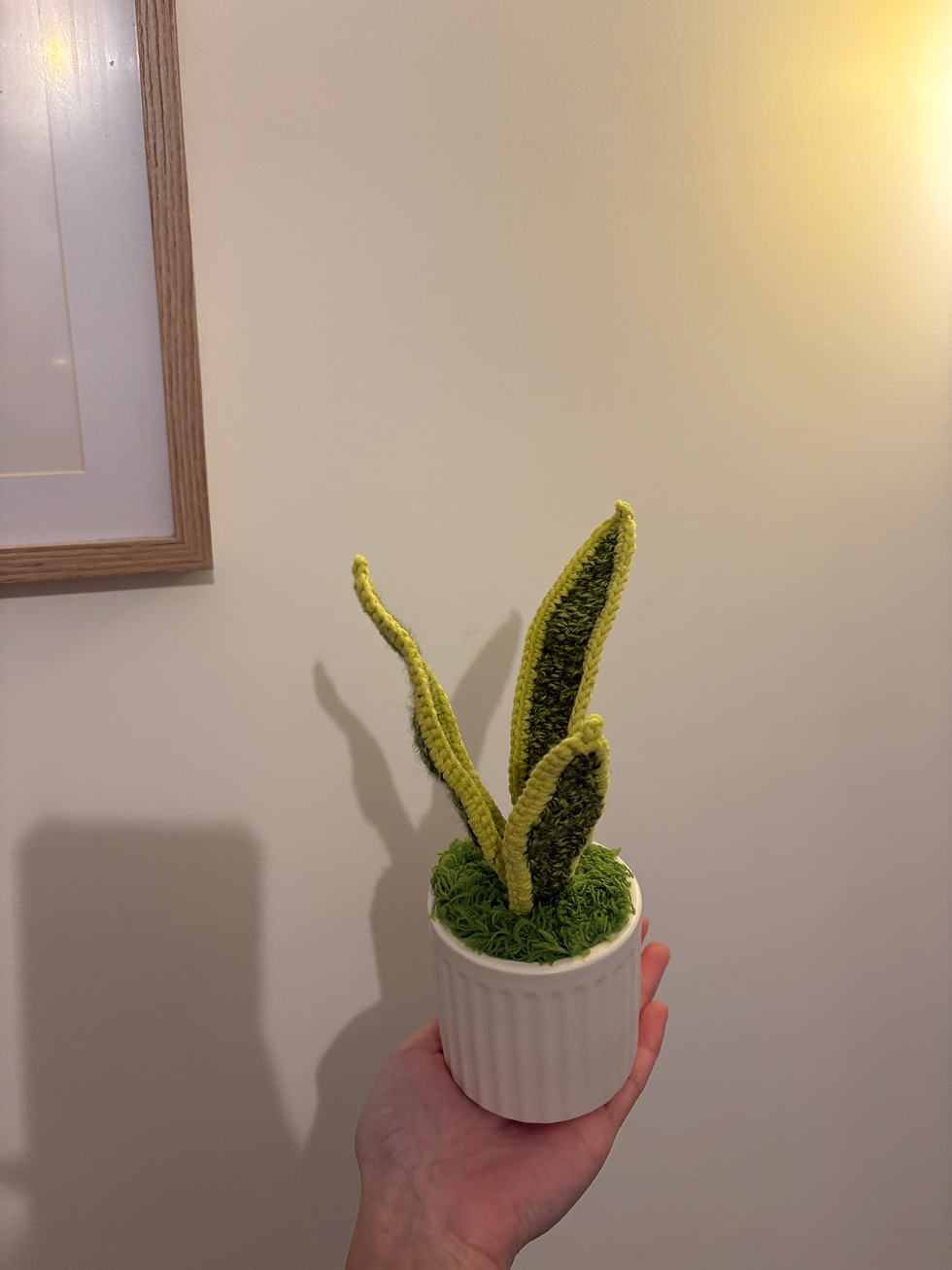 Thumbnail: Crochet Snake plant pot 