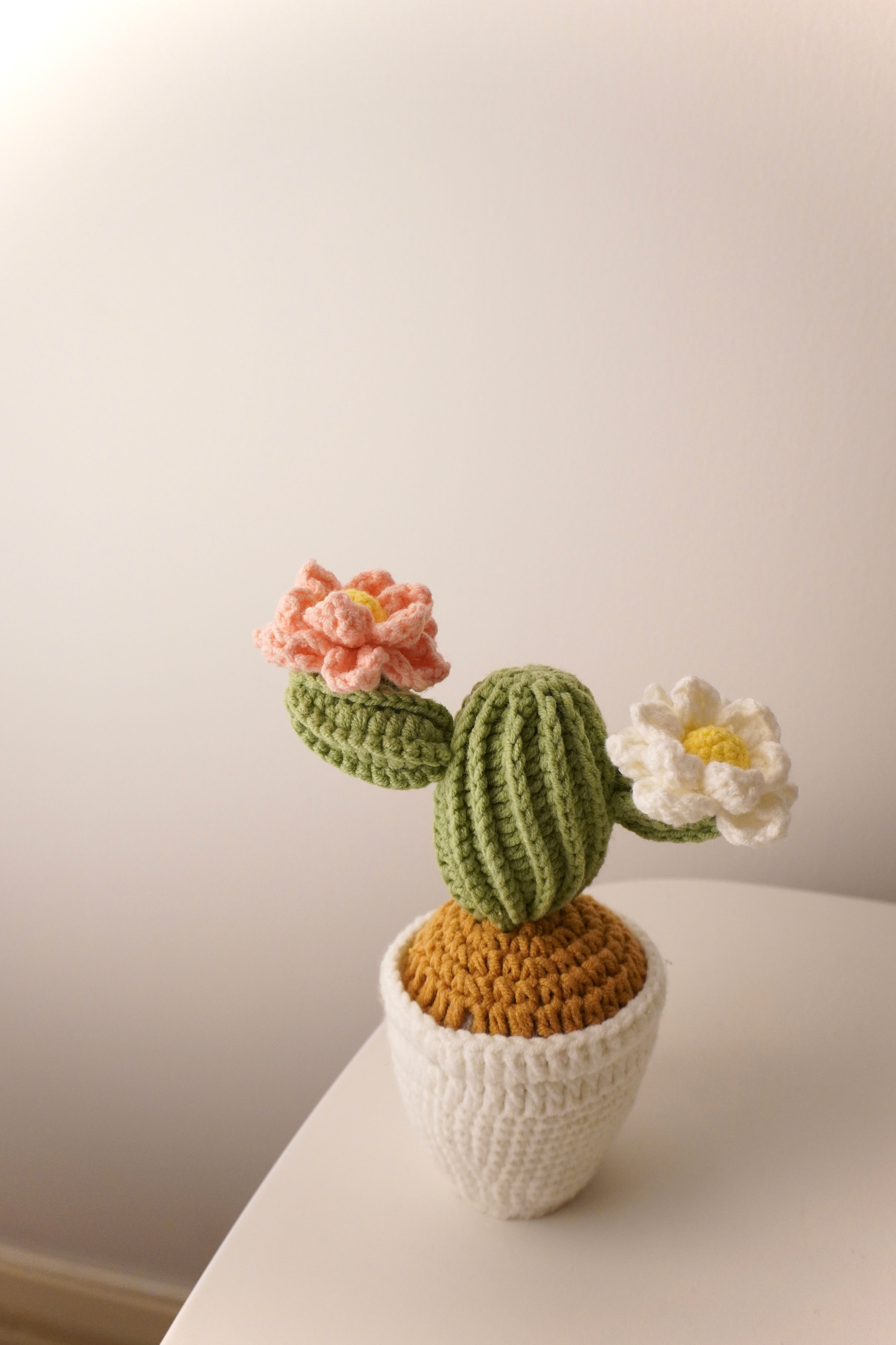 Crochet cactus plant pot