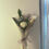 Thumbnail: White rose bouquet 