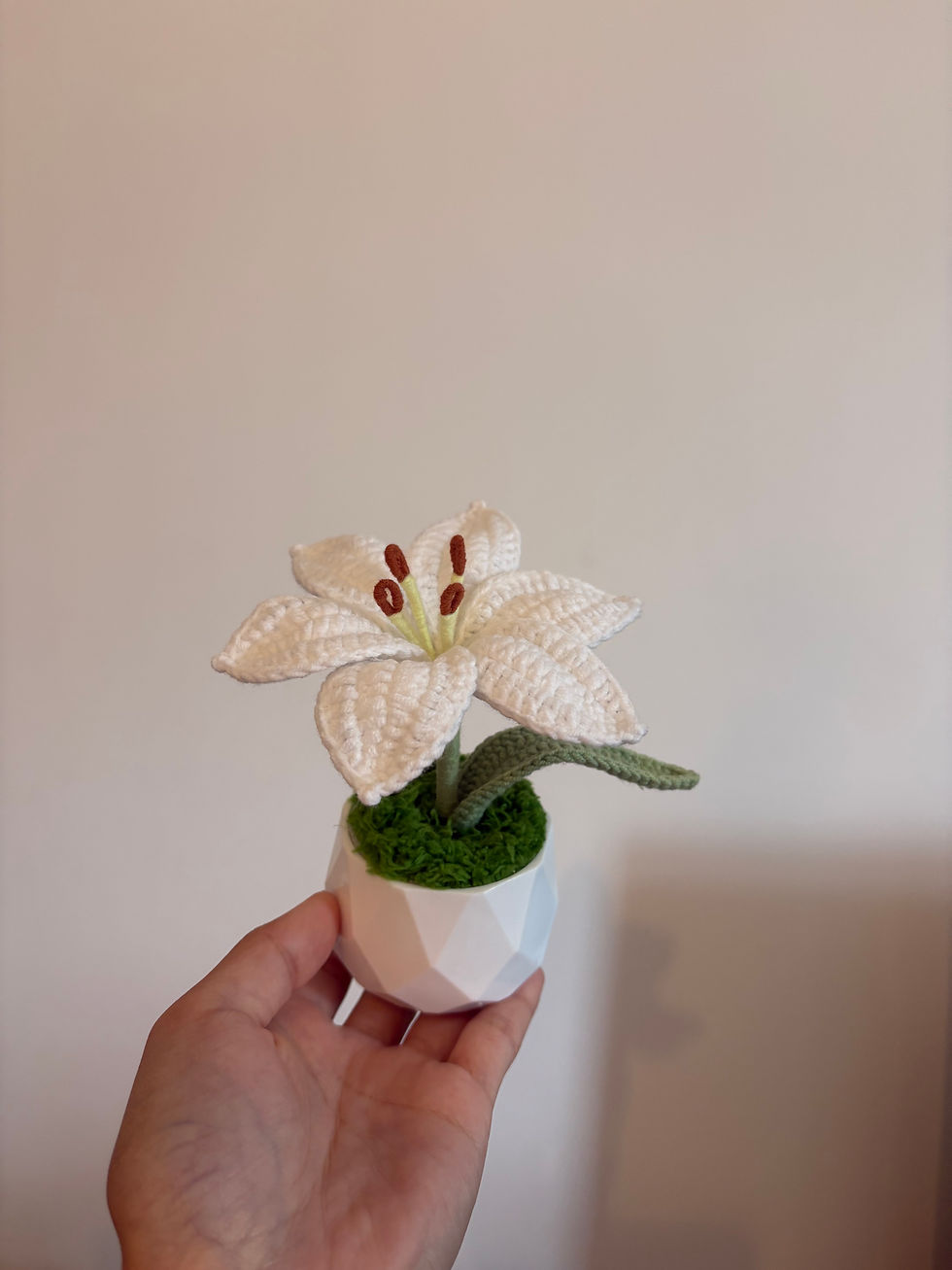 Thumbnail: Crochet lily plant pot 