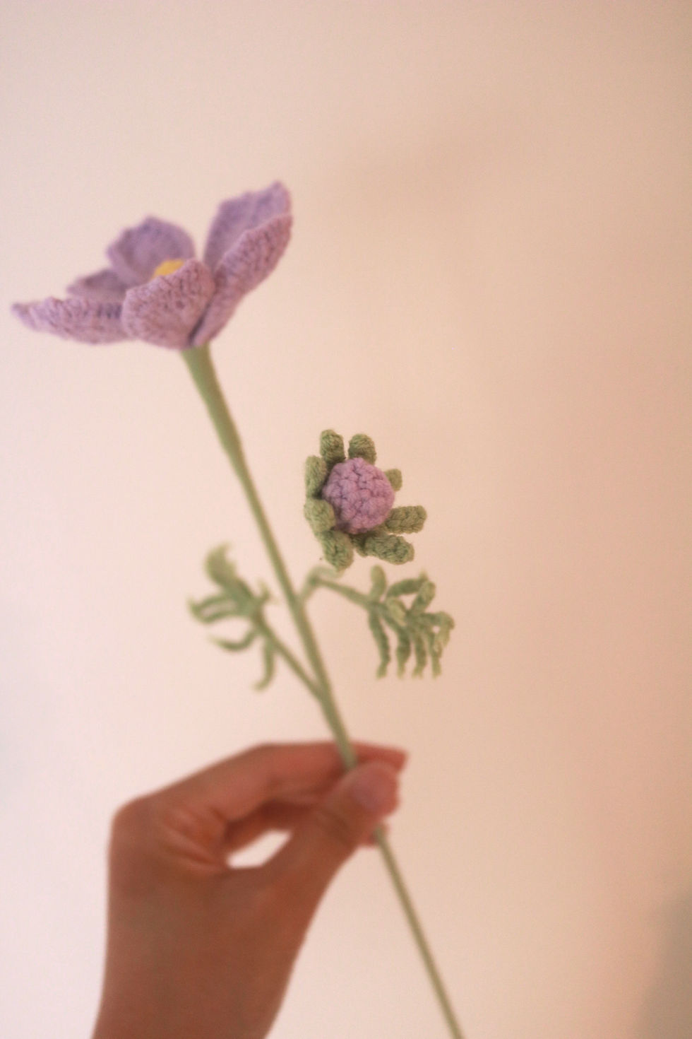 Thumbnail: Crochet cosmos 