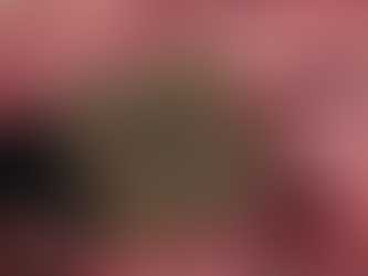 Estampado Ajrakh: Un Arte Textil Sostenible