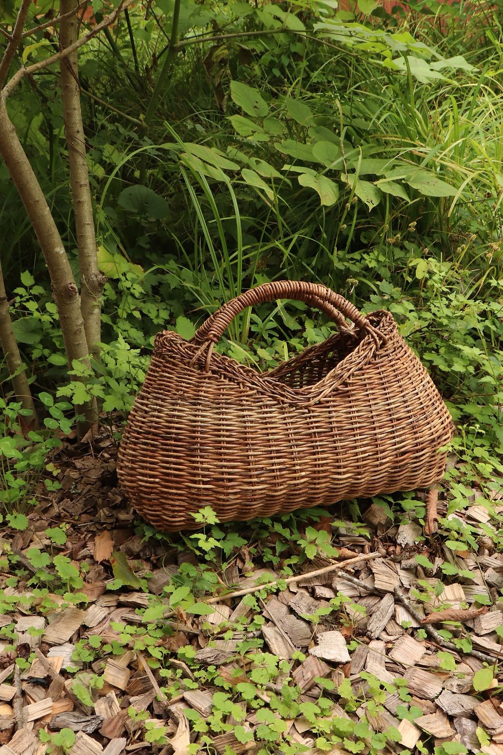【軽井沢|gallery fumoto】バスケタリー作家 kegoya熊谷茜展「森羅〜森の表情〜」開催のお知らせ