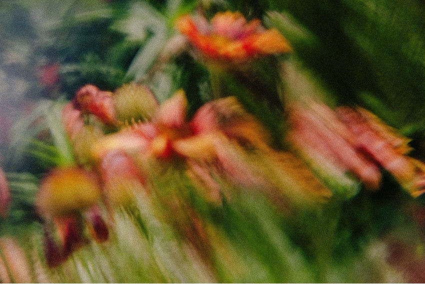 『いつでもいま – ガラスに映す光』柿本ケンサク写真展