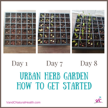 Urban Herb Garden – Part 1: Getting Started