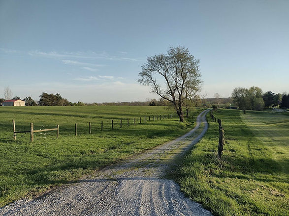 farm drive.jpg